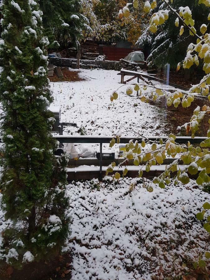 Ferienwohnungen Albstadt Bagian luar foto