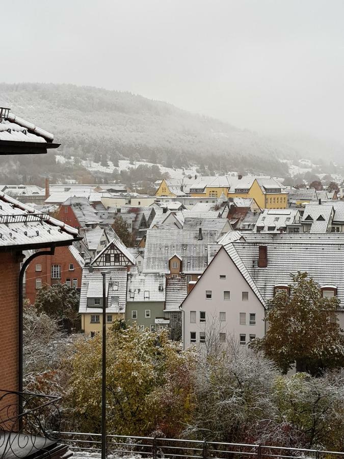 Ferienwohnungen Albstadt Bagian luar foto