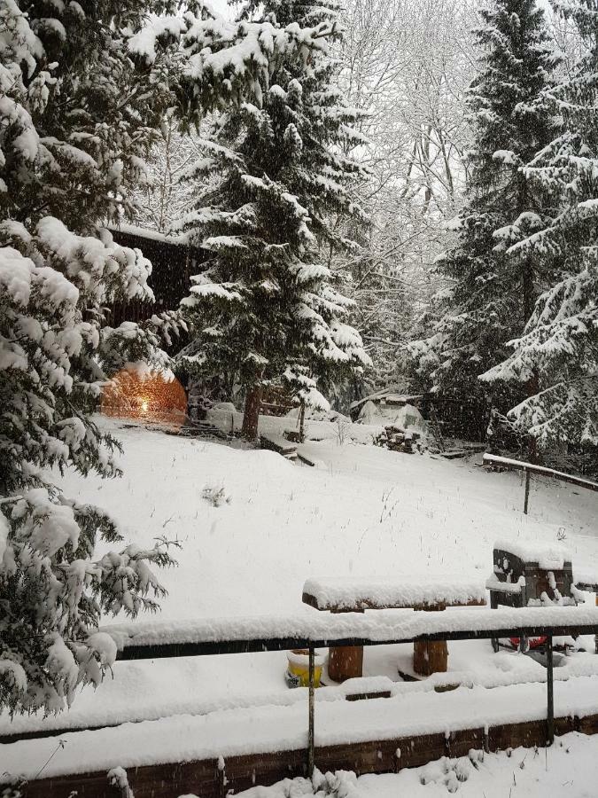 Ferienwohnungen Albstadt Bagian luar foto