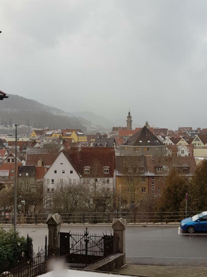 Ferienwohnungen Albstadt Bagian luar foto