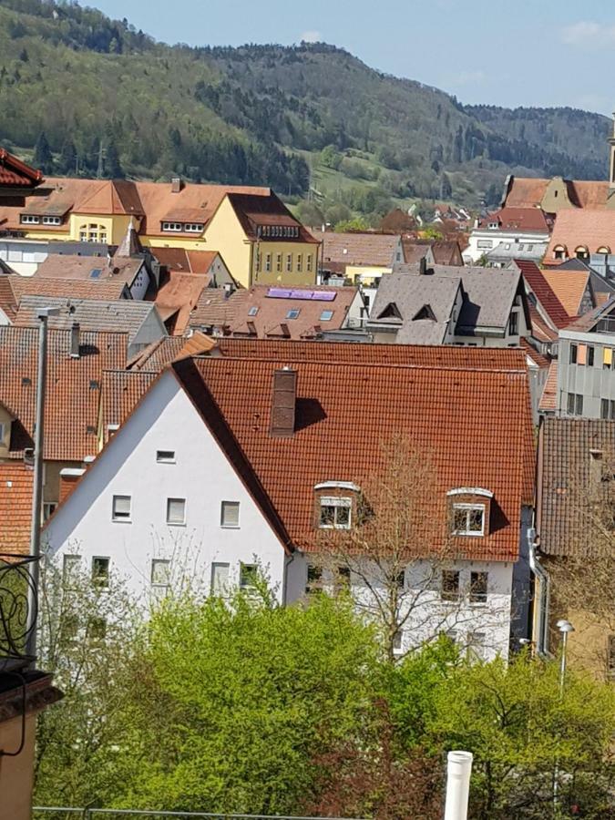 Ferienwohnungen Albstadt Bagian luar foto